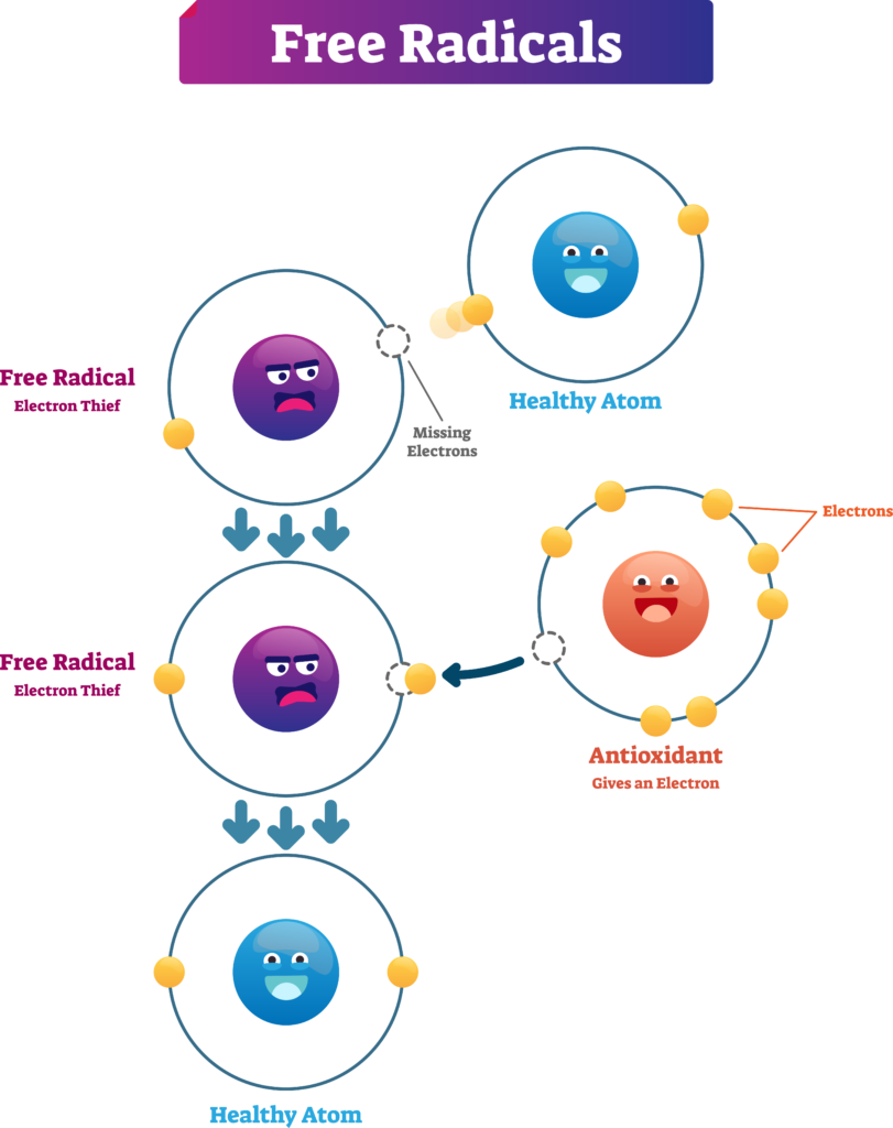 the effects of free radicals