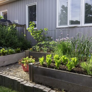 How To Start An Organic Garden